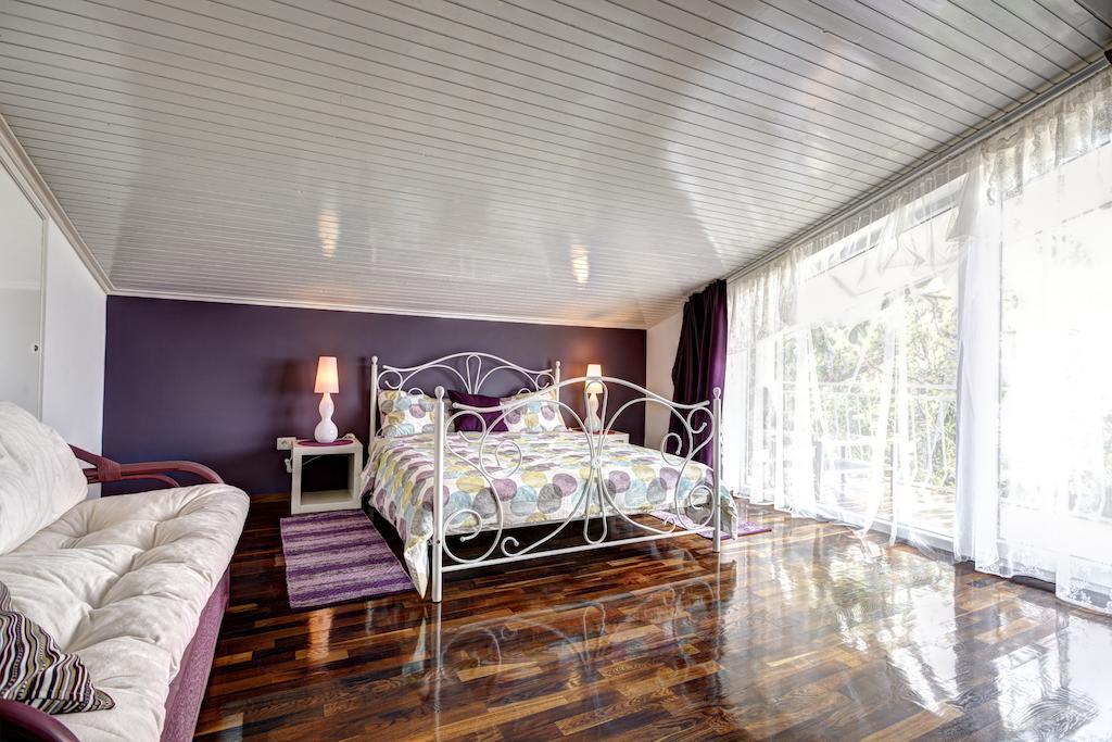 Villa Parenzana Visnjan Bagian luar foto