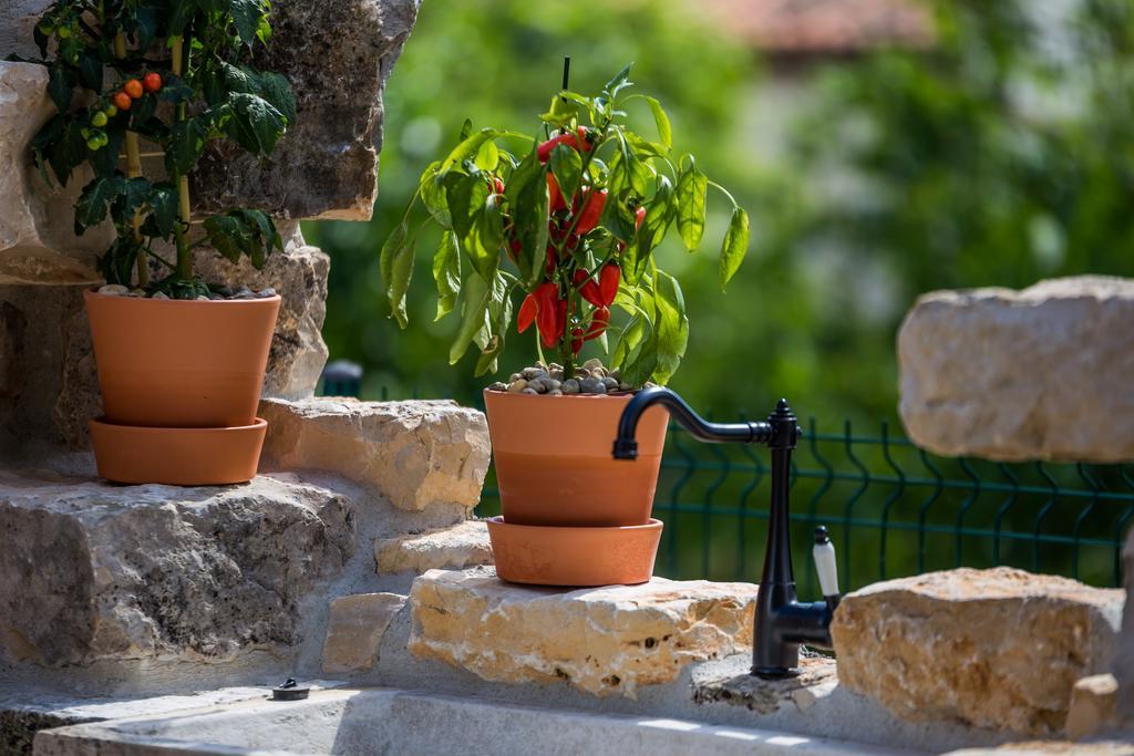 Villa Parenzana Visnjan Bagian luar foto